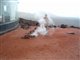 Lanzarotte-Ile volcanique de l'archipel des Canaries