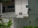 Lagos, mur d'un compound.JPG