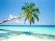La guadeloupe-plage de Sainte Anne