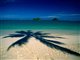 La guadeloupe-Plage du Gosier