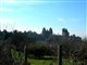Carcassonne