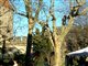 Carcassonne