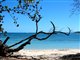 Les Salines