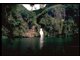 Bassin du Cormoran